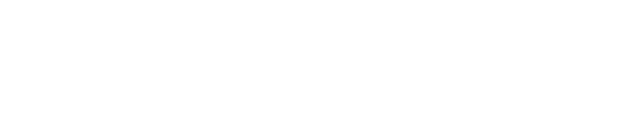 Aria LSF System